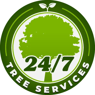 24/7 Tree Services